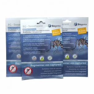 BG-Sweetscent - Pack saison 6 mois