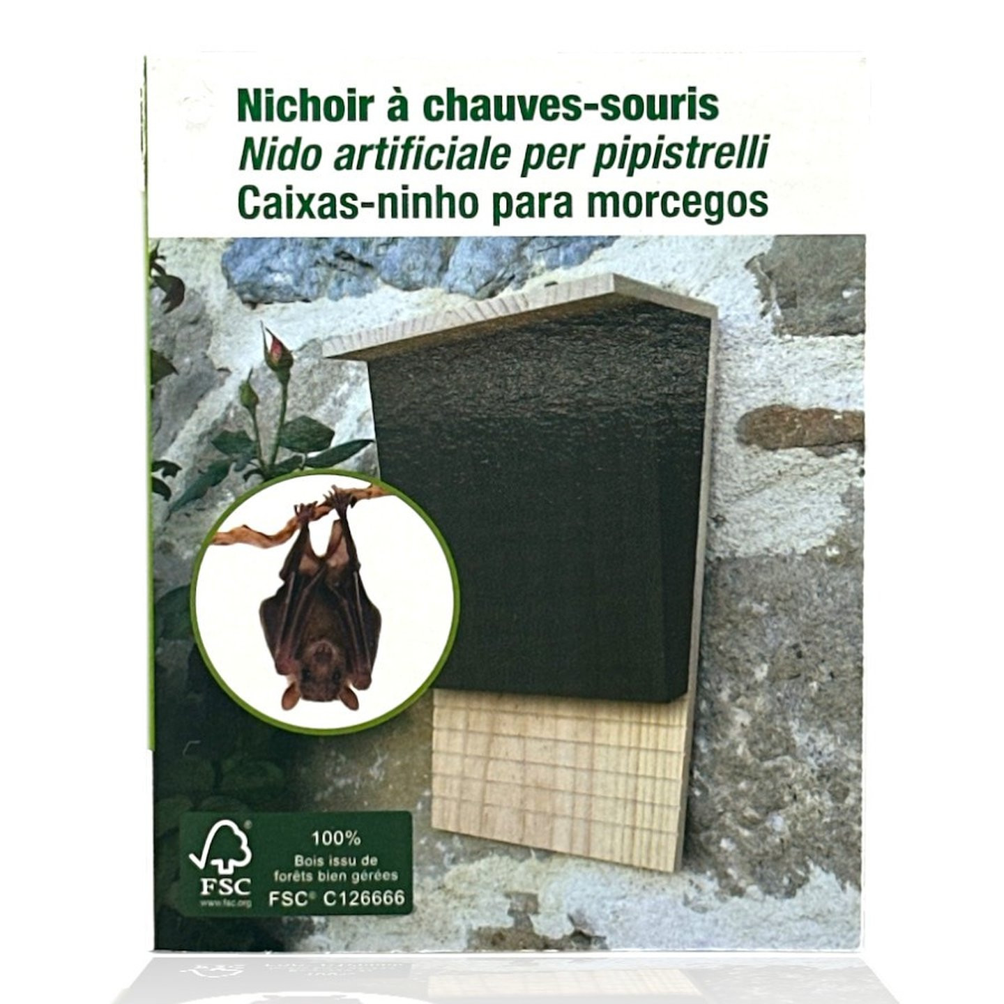 La plus grande chauve-souris du monde La plus grande chauve-souris du monde