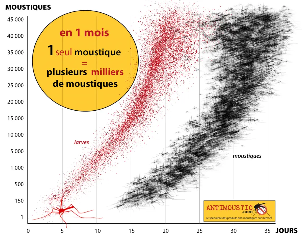 Graphique de reproduction des moustiques