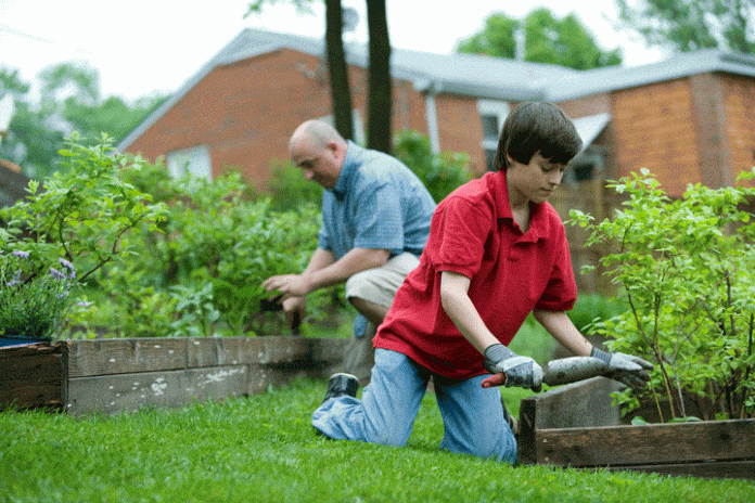 Evitez d'avoir votre jardin envahit par les moustiques : rendez le sec