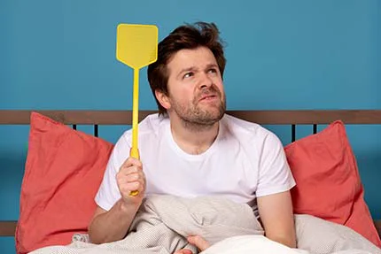 anti moustique intérieur